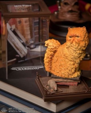 Když máš v příběhu víc rozumu než půlka kouzelníků dohromady…. Ano, mluvíme o Křivonožkovi. 😼 Kdo ještě miluje kočky...