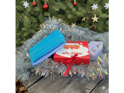 Generated Image November 19, 2025 11 33AM (1)