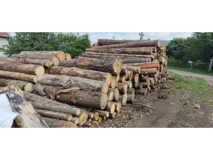 mekke_drevo_volne_lozene_01