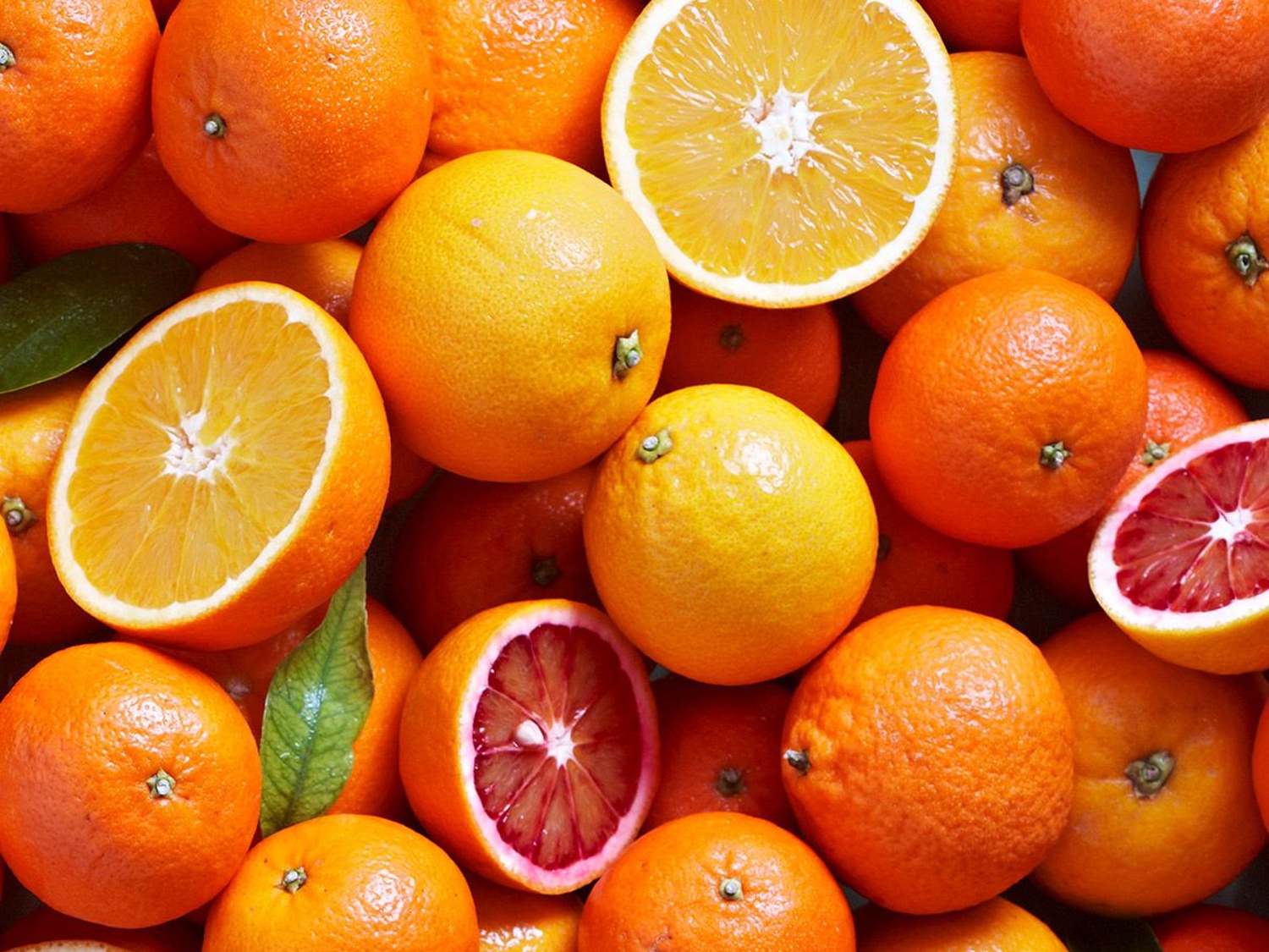 Citrusfélék cserépben történő termesztési útmutatója