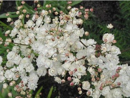 tu�ebn�k obecn� 1