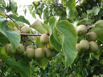 20180908 143251 scaled