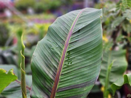 20260420 094819 resized