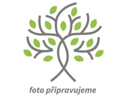 foto p�ipravujeme