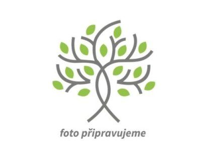 foto p�ipravujeme