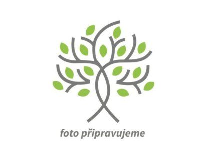 foto pripravujeme