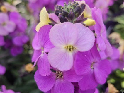 20260402 095423 resized