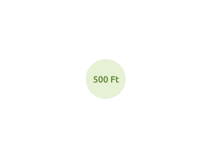 dysko 500 ft