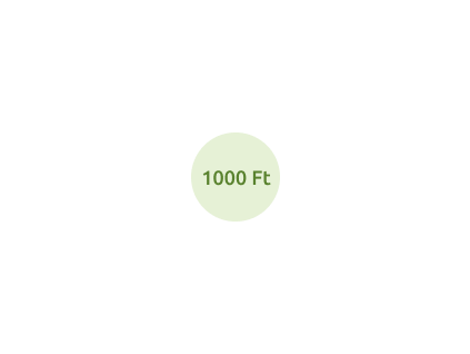 dysko 1000 ft