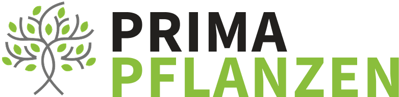 Prima Pflanzen