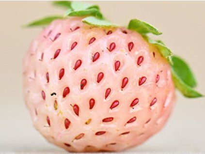 bubbleberry
