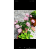 ee87c02110fec573