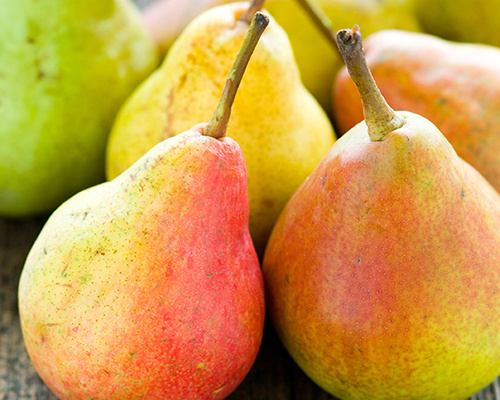 Anleitung zum Anbau von Birnenbäumen