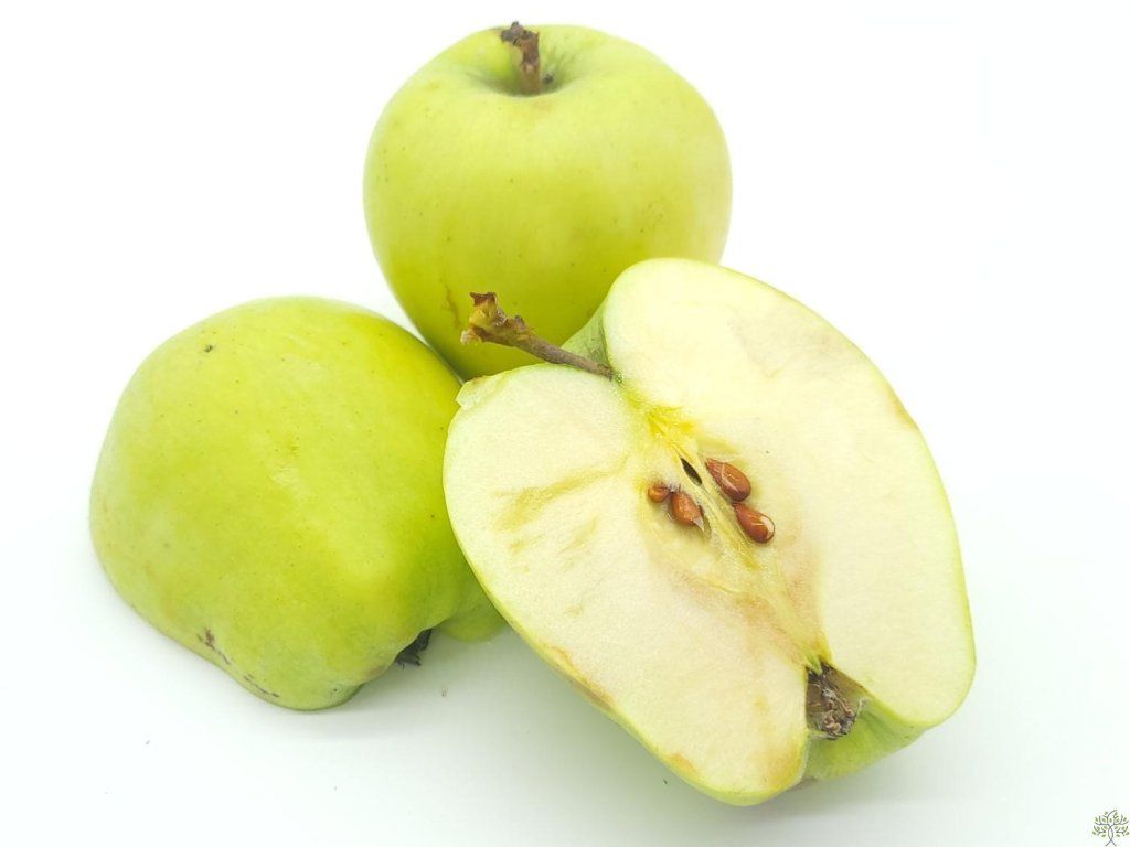 42984 jablon produkta