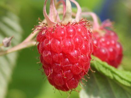 Viel Spaß beim Einkaufen!