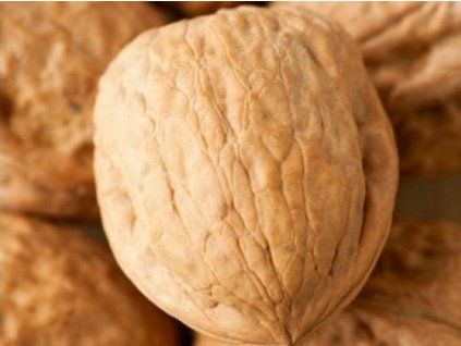 115525 oresak saturn