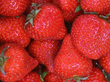 Erdbeere 2