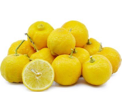 Palästinensische Limette