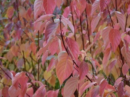 aeef33fc3807145df916da34e297469f