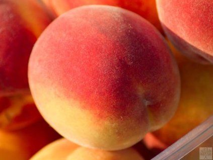 37164 1 broskvon suncrest