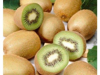 45615 1 Kiwi-Männchen