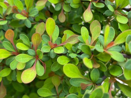 2c0ade61 e3b3 4958 b25d ae0fc04a1586