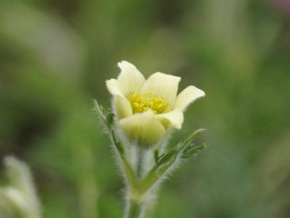 41f0a095 b641 46cd a88c 5816b2f38c43