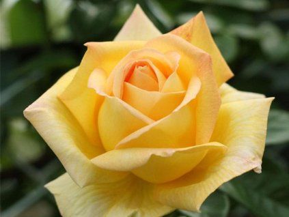 d302be805f247dabaf7f41dc0fda8ab5