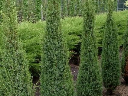 Sn�mek obrazovky (210)