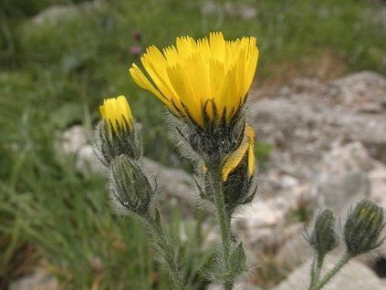 Nachrüstsatz schallgedämmt
