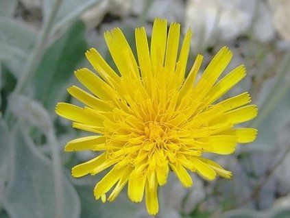 jest��bn�k �