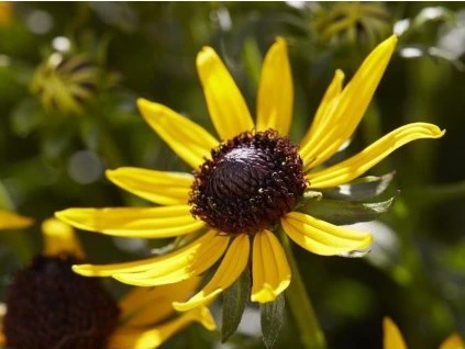 76FC08085F1773661ED18D907594D403