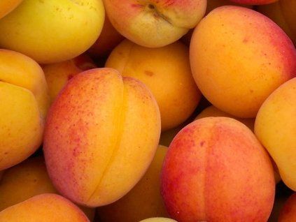 128824 merunka budapest