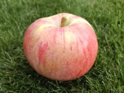 20250905 161337 resized