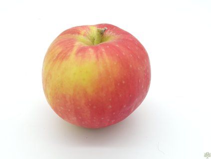 130834 jablon dankovo