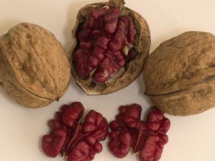 135357 oresak kralovsky robert livermore