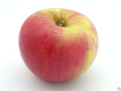 42423 jablon freedom