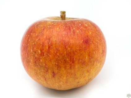 42597 jablon cherry cox s