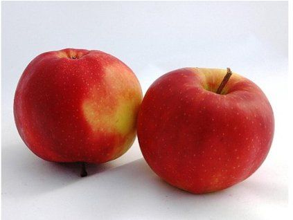 42645 jablon jonagold marnika