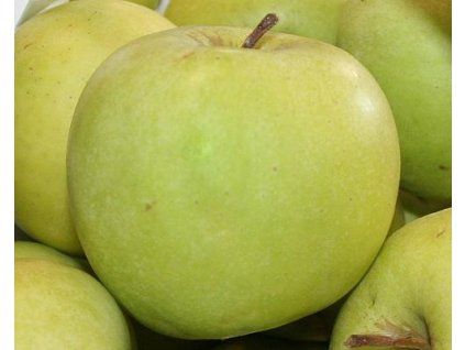 42885 1 jablon mutsu