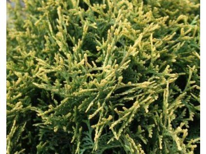 68268 1 West-Wasserfeld