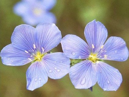 Einfach durchhalten.