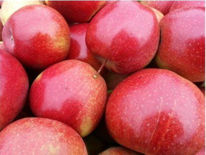 81221 jablon jonagored