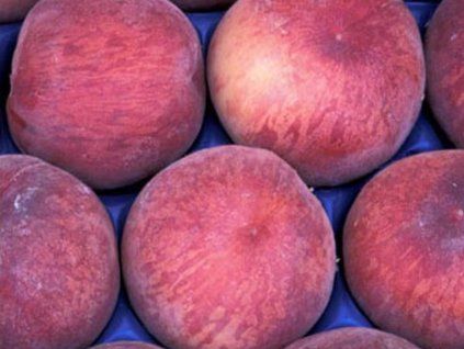 81287 1 broskvon spring bell