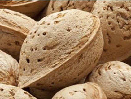 87431 mandlon soleta