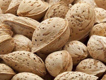 87437 1 mandlon vairo