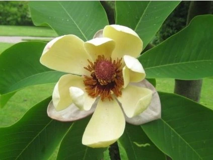 Schule wird noch bekanntgegeben