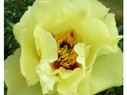 Sn�mek obrazovky (96)