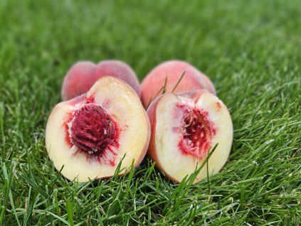 20250829 153148 resized