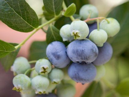 f79816a7 cf9f 4dc8 91dc 19b0bef7a21f 7c218c9